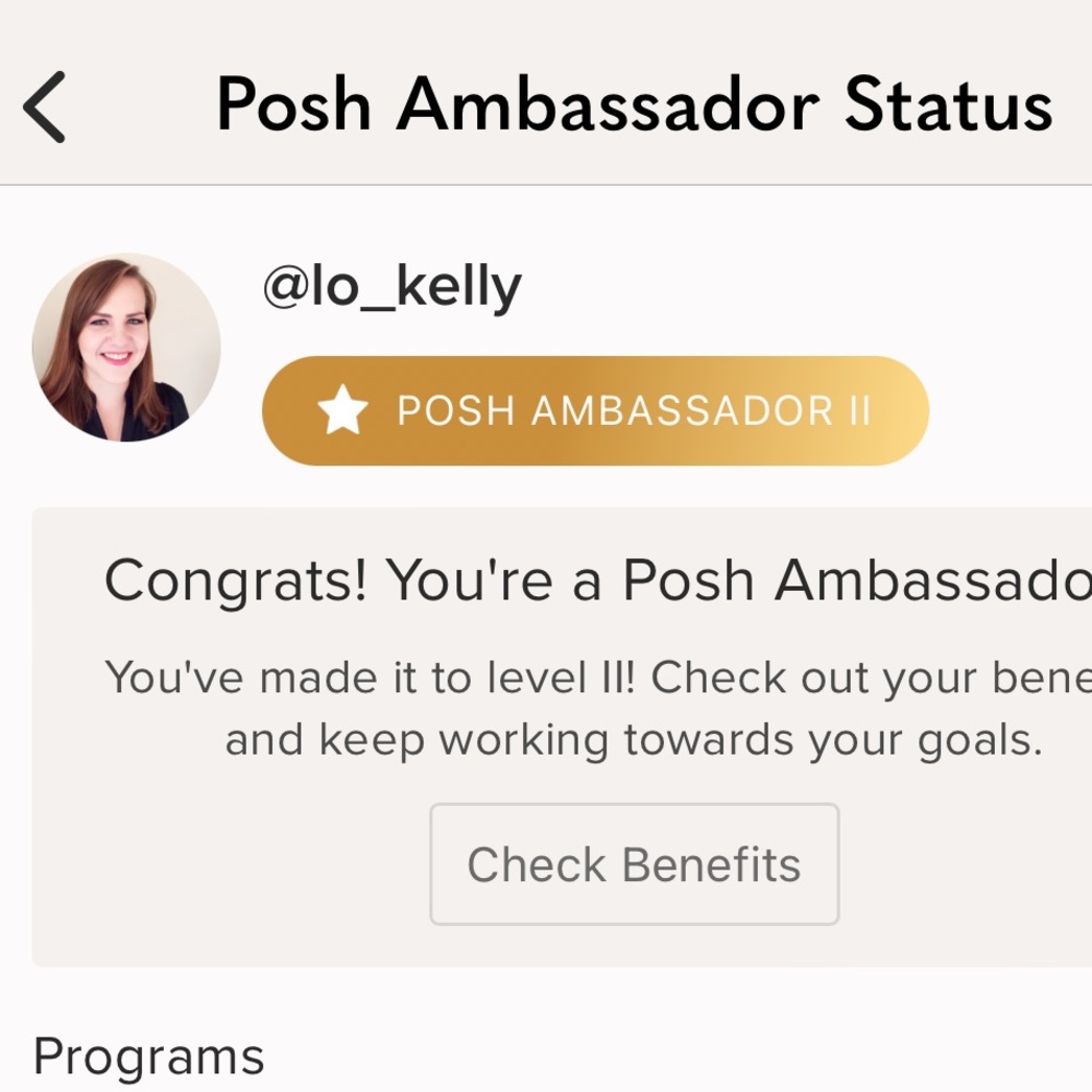 Posh Ambassador ✅ Top Seller - Picture 2 of 3